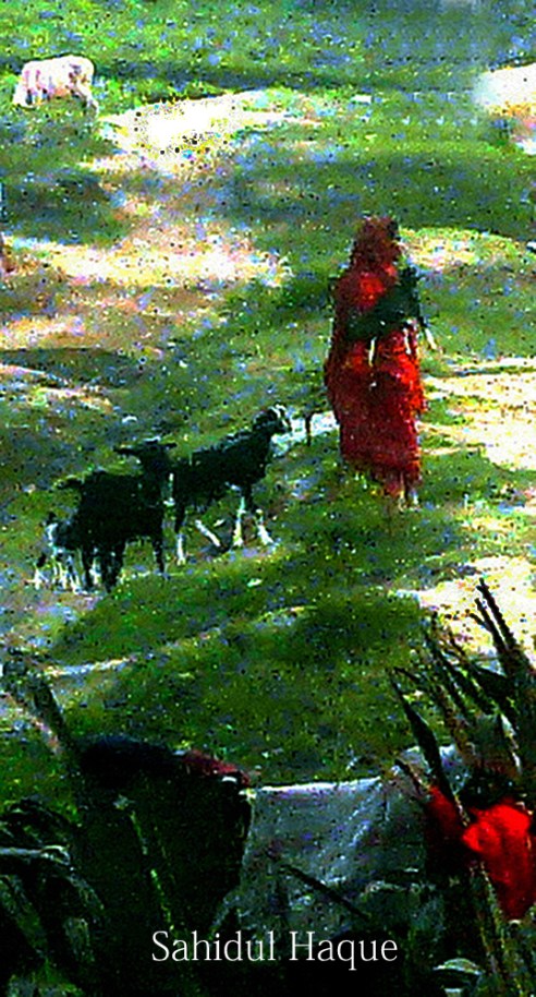 haque_sahidul_0