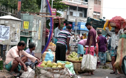 bengal-rajabazar1