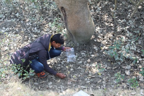 collection of soil sample near netadhopani camp in core forest